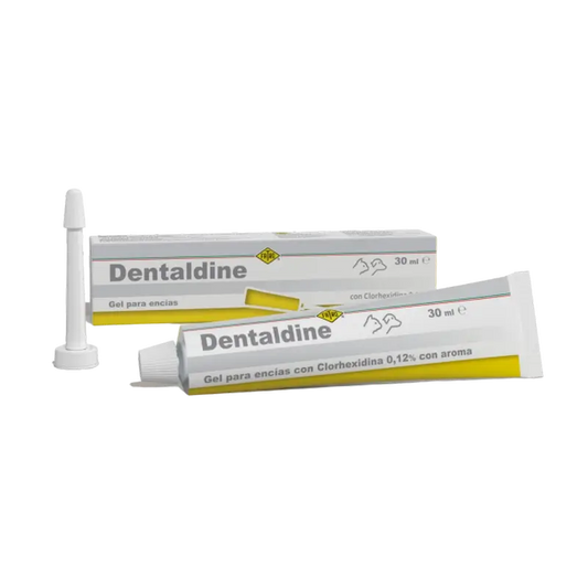 Fatro Dentaldine Gel orale, 30 ml