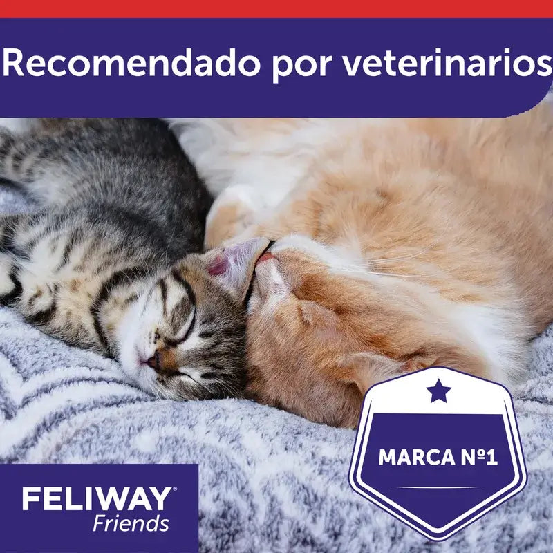 Ceva Feliway Friends Ricarica 48 ml