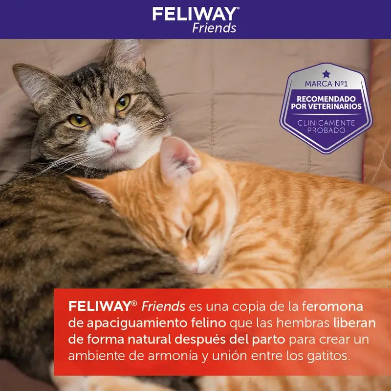 Ceva Feliway Friends Ricarica 48 ml