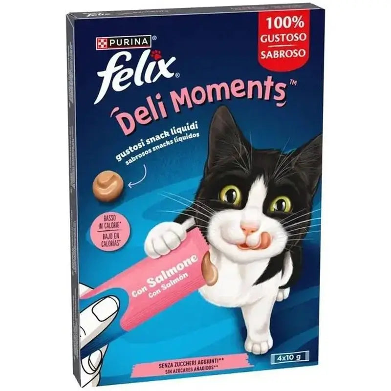 Felix Deli Moments Salmone 11x4x10 grammi