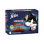 Felix Fantastic Carnes Gelatina 4x24x85 grammi