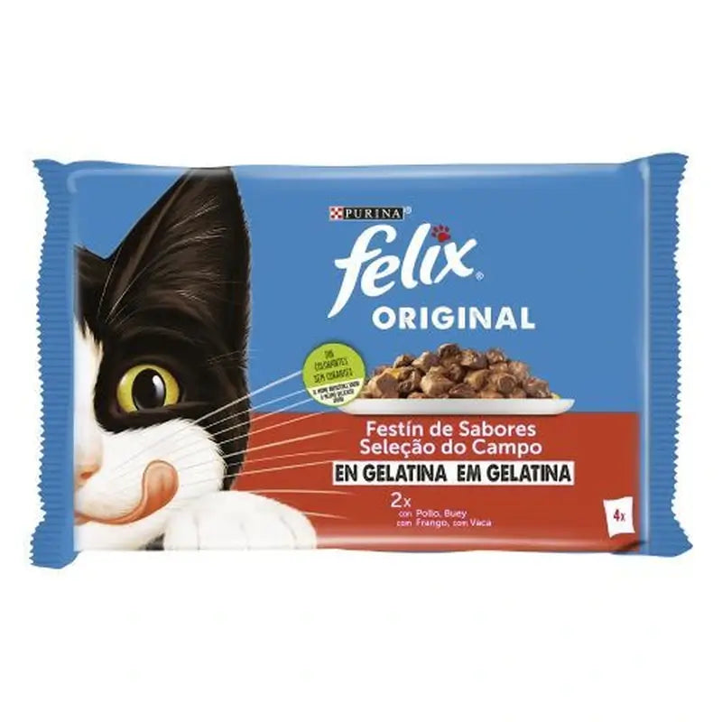 Felix Original Gusto Campagna Gelatina 12x4x85 grammi