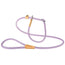 Ferplast Derby Leash Gc12 170 Guinzaglio Viola