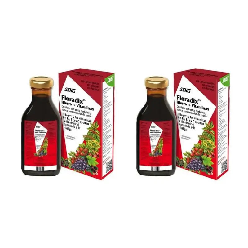 Floradix Ferro + Vitamine, Confezione da 2X500 Ml