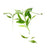 Foreo Ufo Maschera Tè Verde X 6