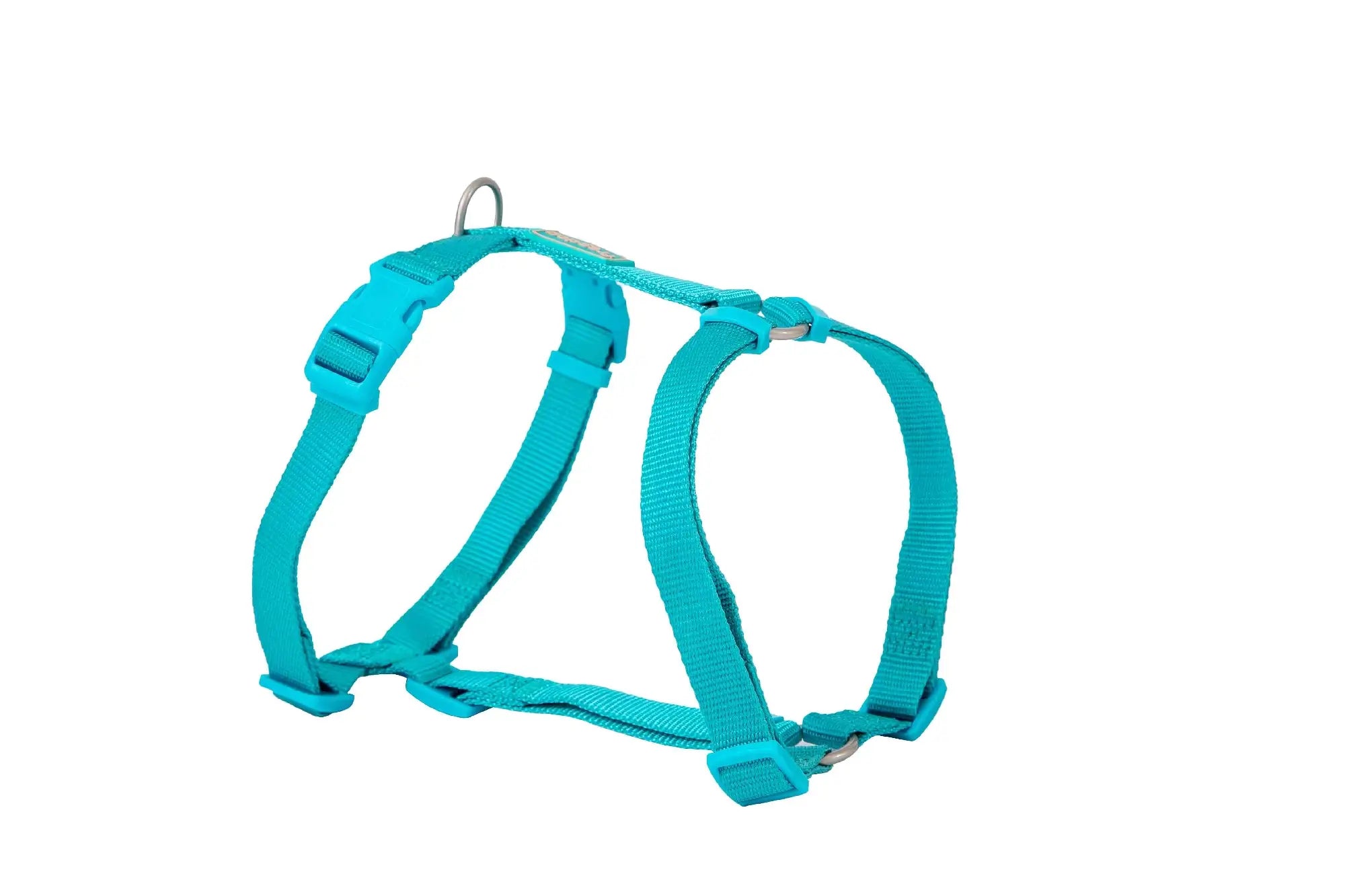 Freedog Imbracatura in nylon Basic turchese, 20 mm 51/70 cm