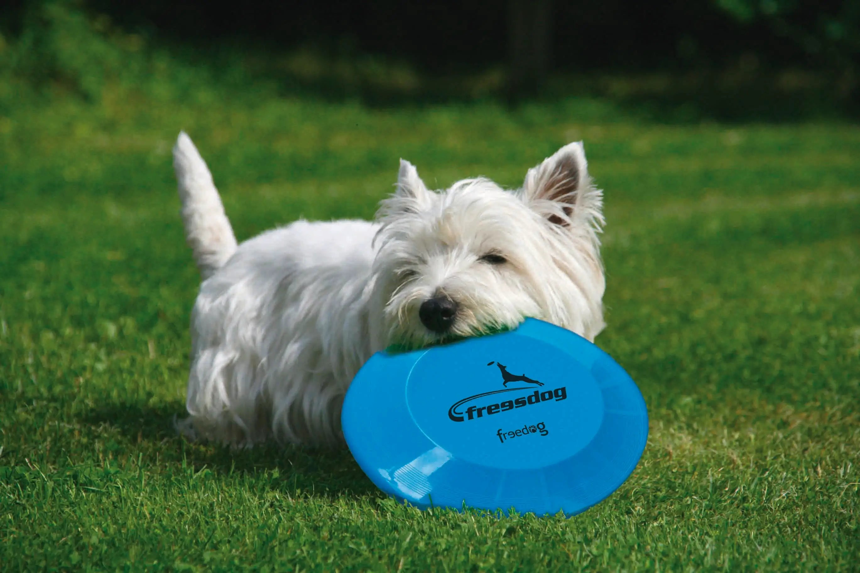 Freedog Freesdog, 23 cm