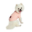 Freedog Jersey Frapp Salmone 20Cm
