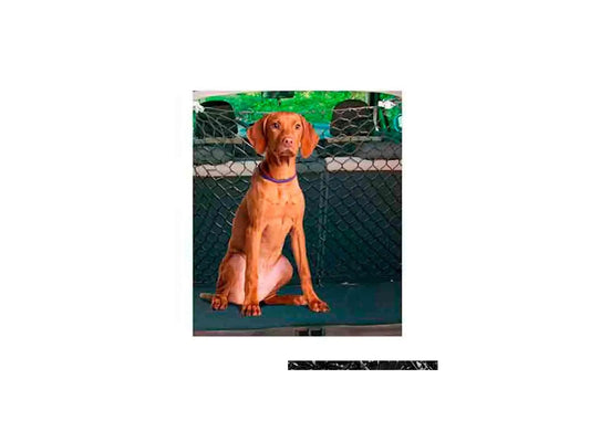 Rete di sicurezza separata Freedog 140 X 120Cm