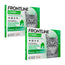 Frontline Combo Gatti e Furetti Spot On, Confezione 2 x 6 Pipette x 0,5 ml