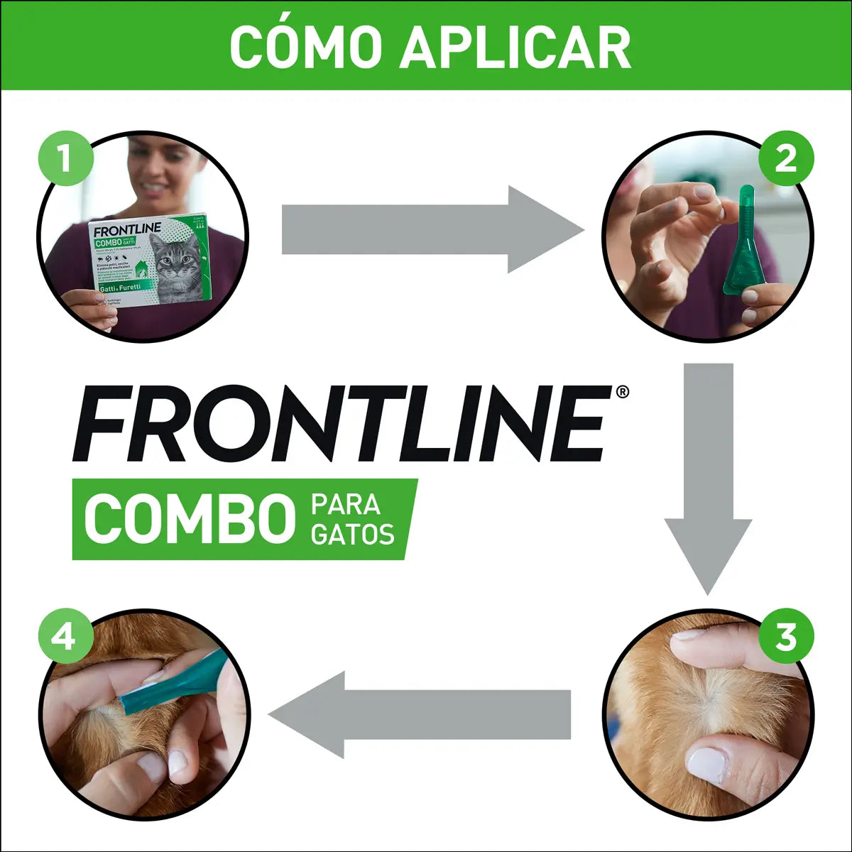 Frontline Combo Gatti e Furetti Spot On, 6 pipette x 0,5 ml