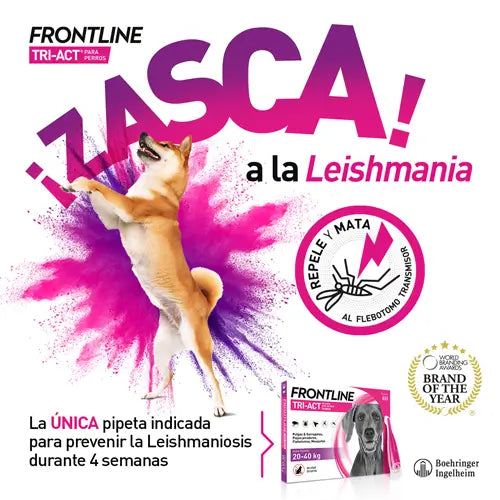 Frontline Tri-Act 10-20Kg, 6 Pipette