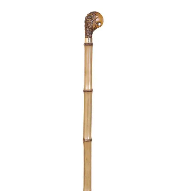 García 1880 Collezione di bastoni da passeggio Bambu Pugno di pappagallo