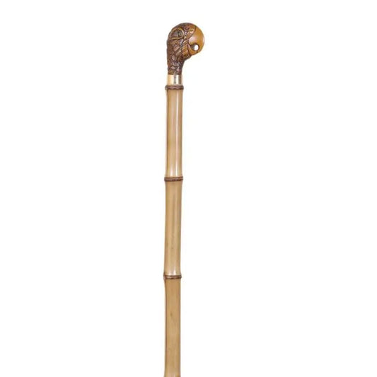 García 1880 Collezione di bastoni da passeggio Bambu Pugno di pappagallo