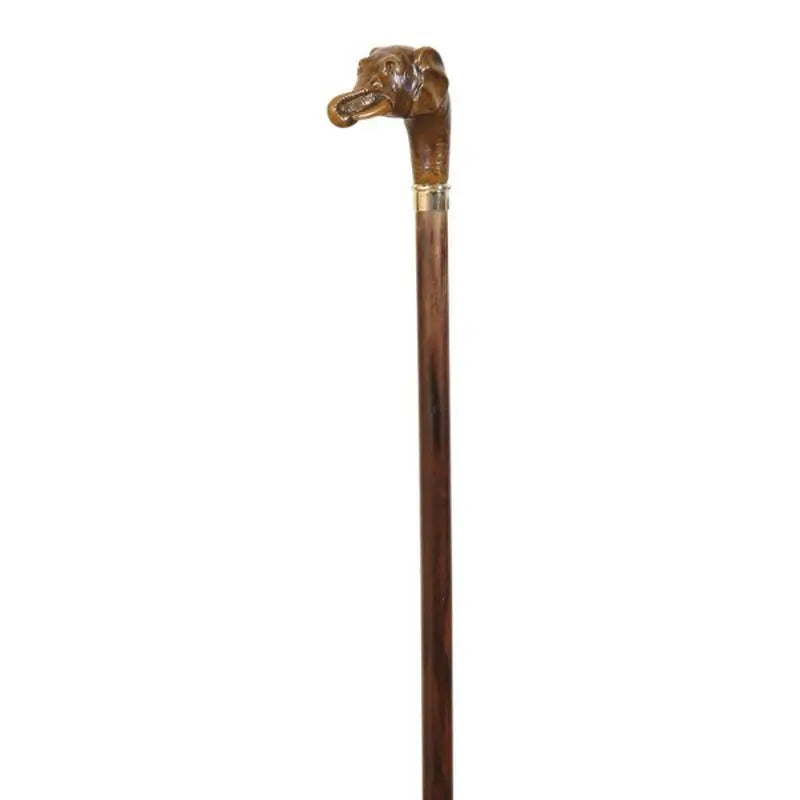 García 1880 Collezione bastone da passeggio e pugno di elefante