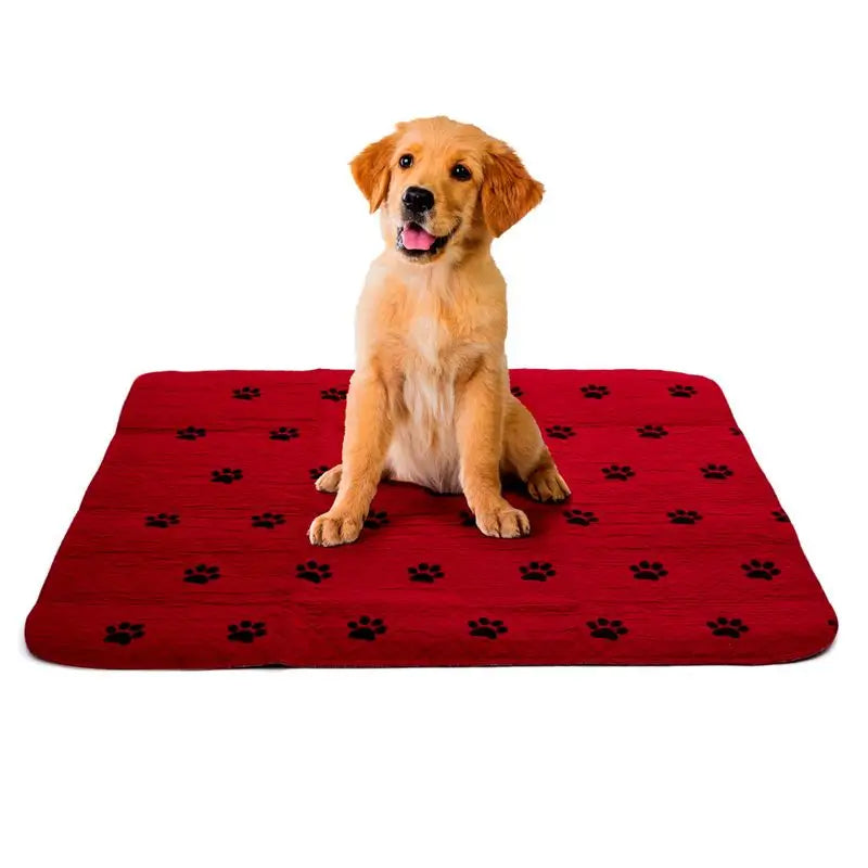 Garcia 1880 Tappetino assorbente riutilizzabile per animali domestici