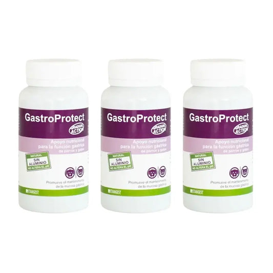 Gastroprotect Stangest, 3X30 compresse