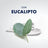 Gillette Series Schiuma da barba rinfrescante all'eucalipto , 250 ml