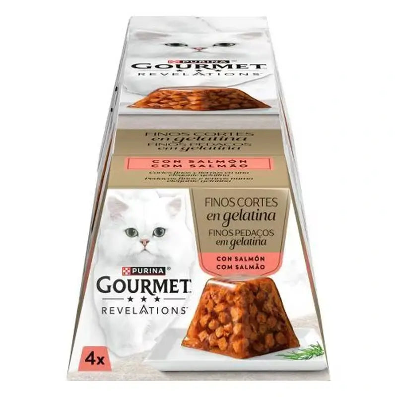 Gourmet Revelations Gelati al salmone 6x4x57 grammi