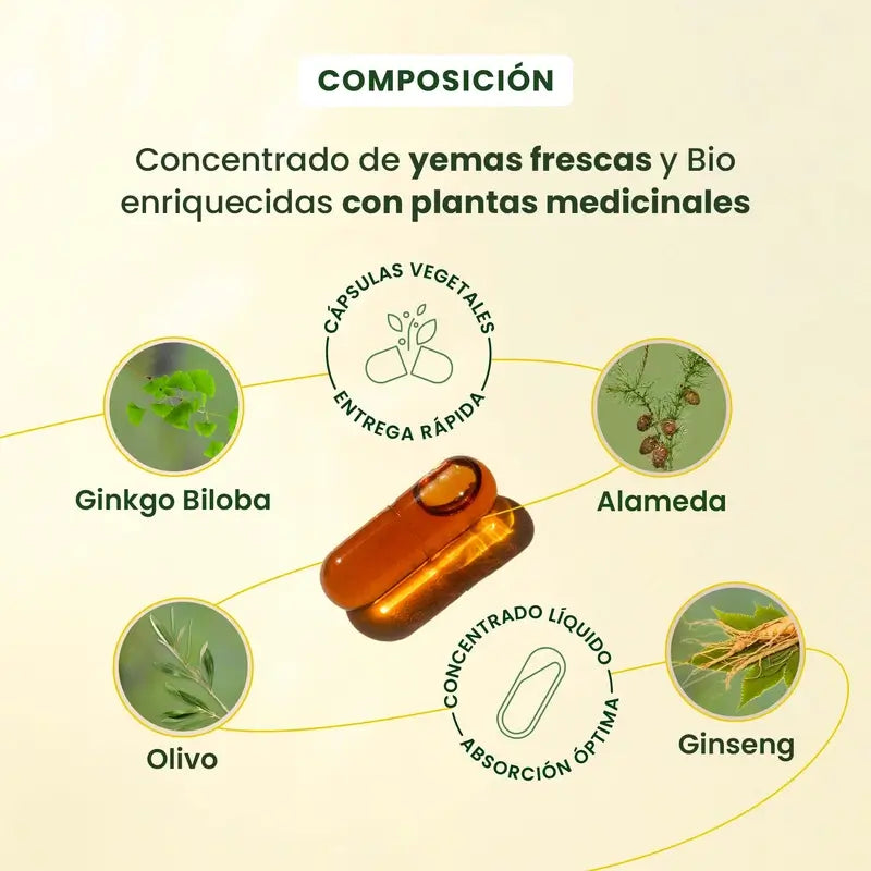 Herbalgem Gemmocaps Stress Protect Cognition, 30 capsule