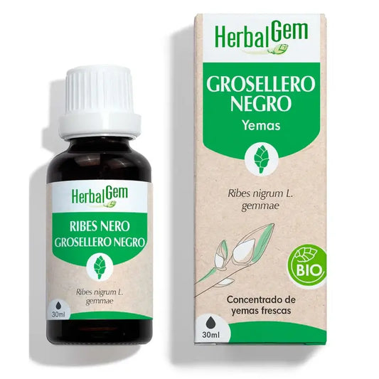 Erboristeria Ribes nero, 30ml