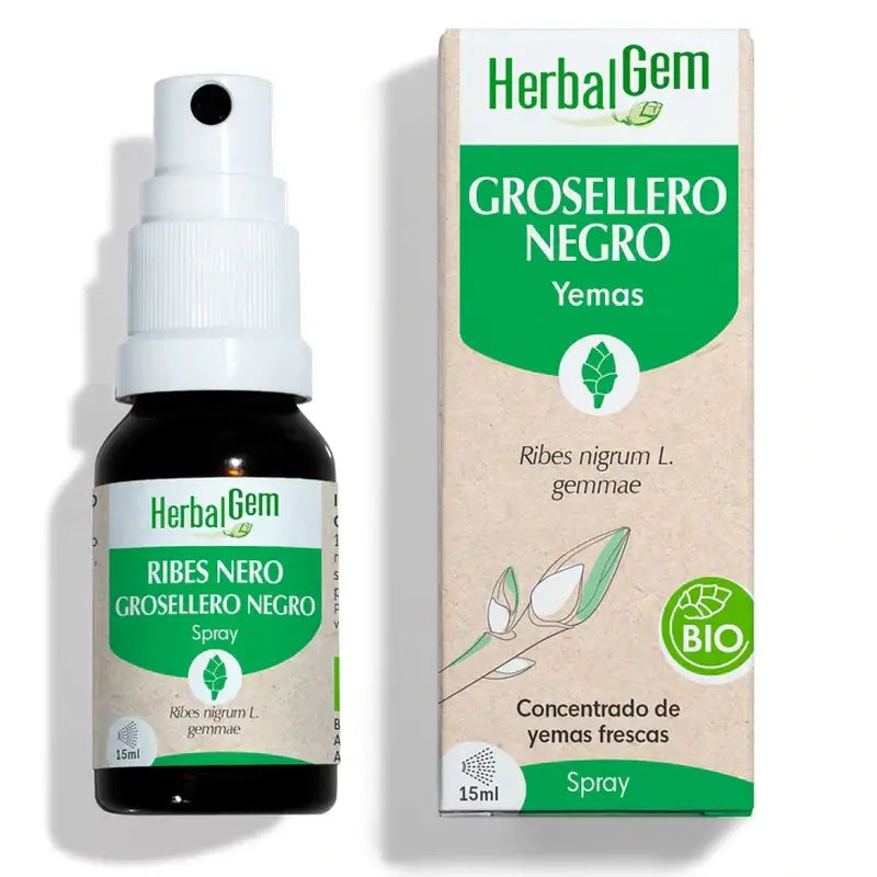 Erboristeria Ribes nero, 15ml