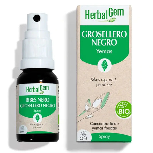 Erboristeria Ribes nero, 15ml