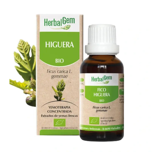 Herbalgem Higuera Gocce, 15 ml
