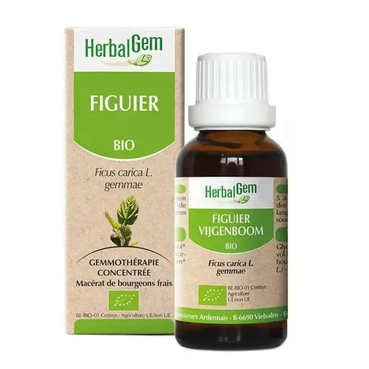 Erboristeria Albero di fico, 30ml