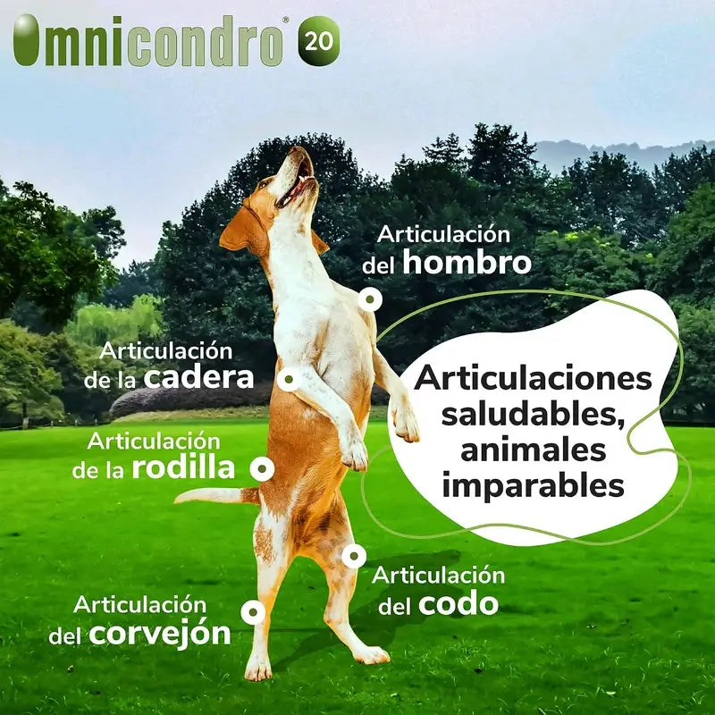 Omnicondro 10 Condroprotettore per cani 60 compresse