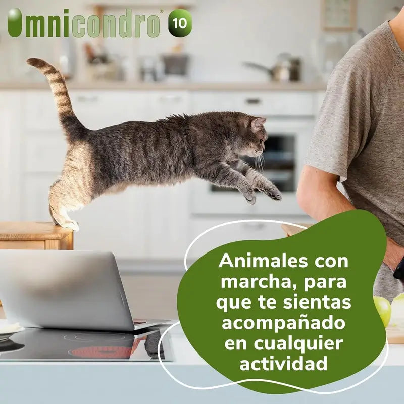 Omnicondro 10 Condroprotettore per cani 60 compresse