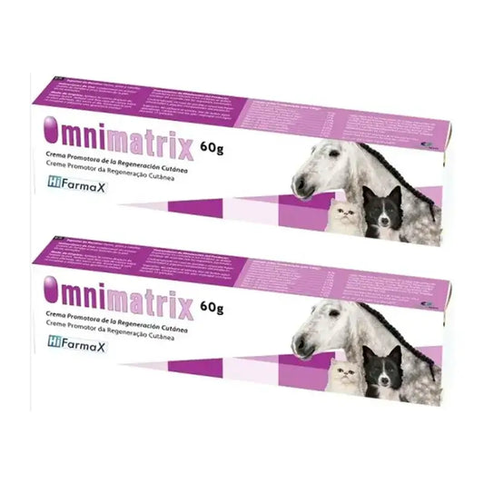 Omnimatrix Unguento curativo, Confezione 2 x 60 g