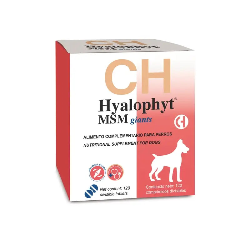 Chemical Hyalophyt MSM Giants, 120 compresse