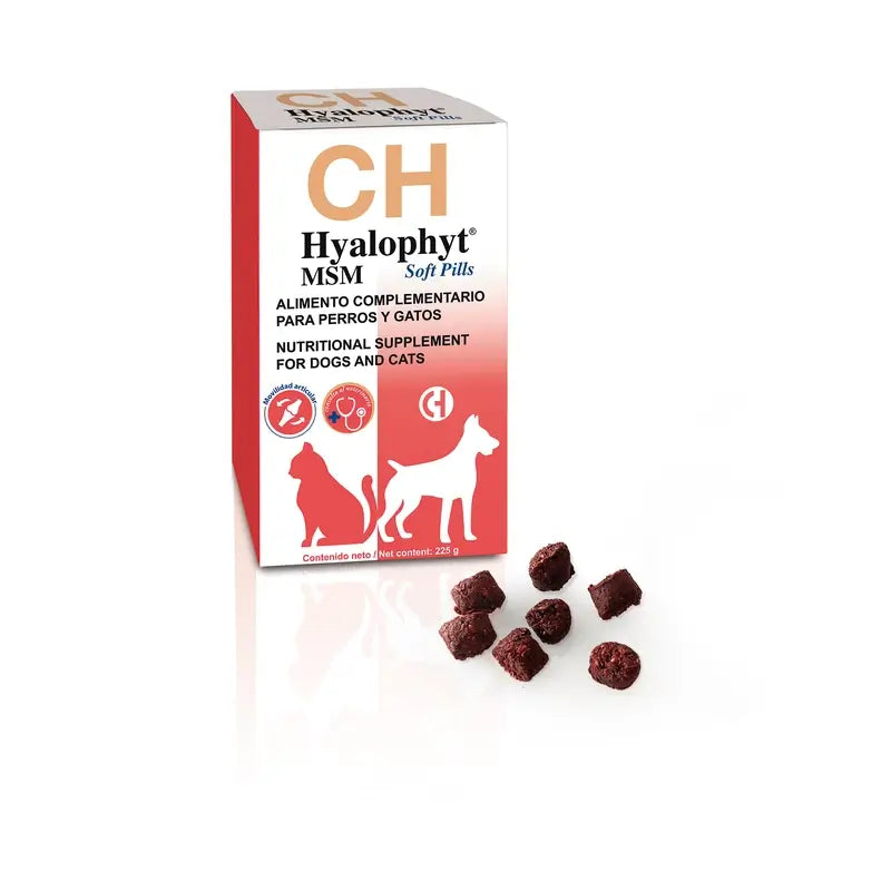 Chemical Hyalophyt MSM in capsule morbide, 225 g