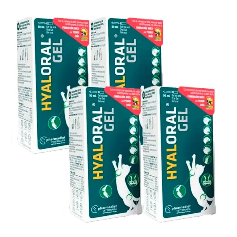 Hyaloral Gel per cuccioli di gatto, confezione da 4 x 50 ml