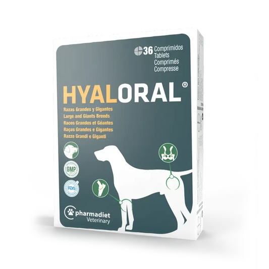 Hyaloral Cane di taglia grande e gigante, 36 compresse