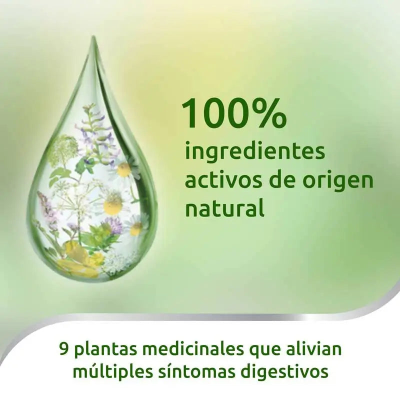 Iberogast Gocce Orali 20 ml
