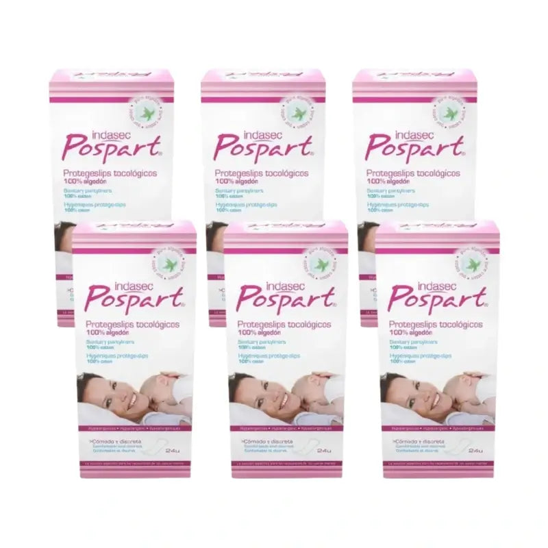 Indasec Pospart Protegeslip , 6 x 24 unità