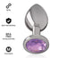 Intense Plug Anal Metal Aluminio Con Cristal Violeta Talla M 