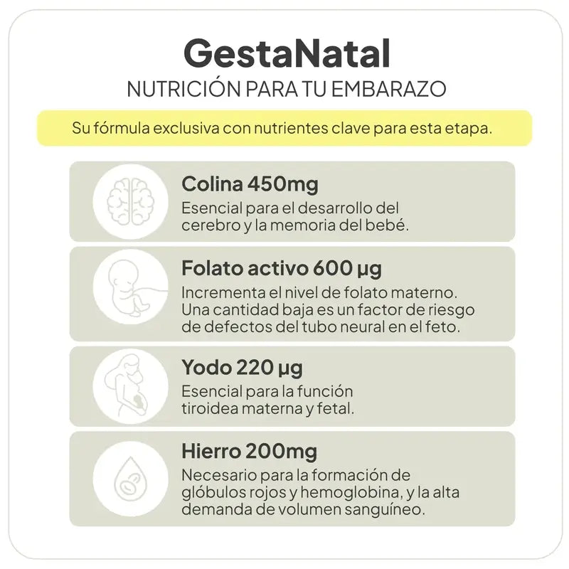 Ivb Wellness Lab Gestanatal, 60 capsule