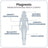 Ivb Wellness Lab Pacchetto riposo profondo, Magnesio totale, 60 capsule + SomniLove, 180 g