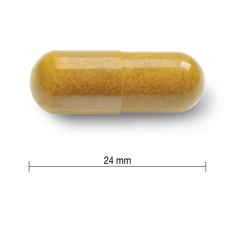 Jamieson Curcumin Curcuma 550Mg , 60 capsule