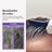 Just For Men Tocco di grigio marrone