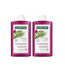 Klorane Shampoo al Fico Barbaria, 2X400 Ml