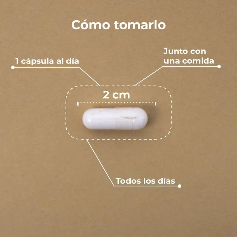 Kobho Labs Integratore di vitamina C liposomiale + Reishi, 60 capsule