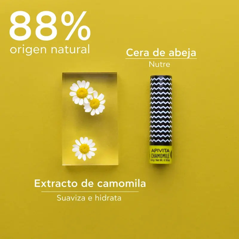 APIVITA Balsamo labbra SPF 15 con camomilla 4,4 g