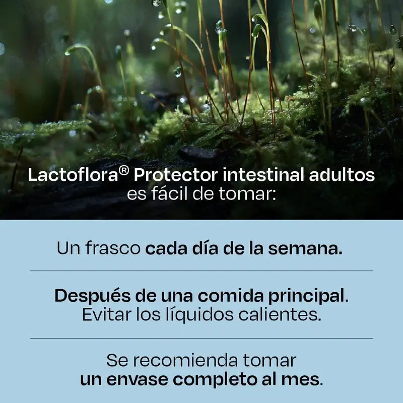 Lactoflora Adulti , 3 x 10 fiale