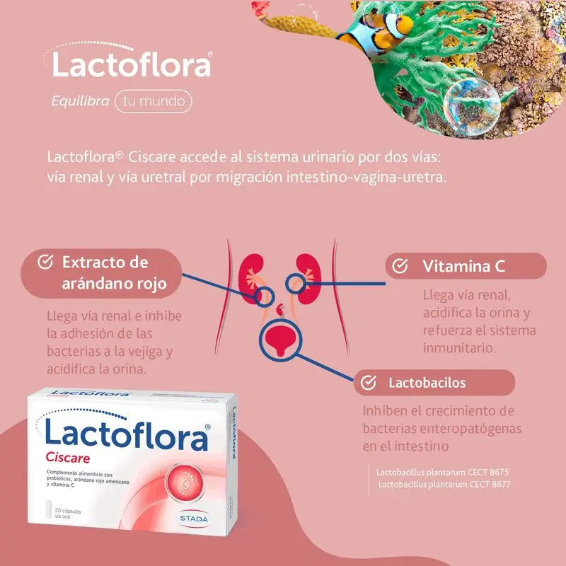 Lactoflora Ciscare 30 capsule