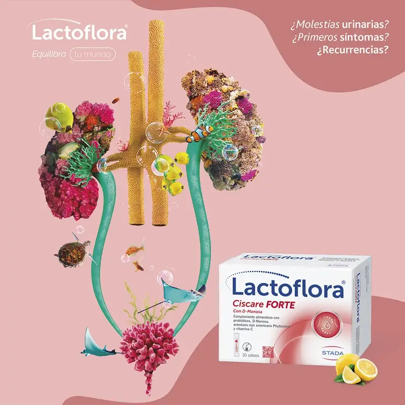 Lactoflora Ciscare Forte , 10 bastoncini