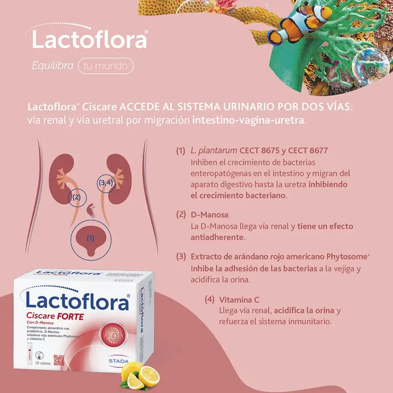 Lactoflora Ciscare Forte , 10 bastoncini
